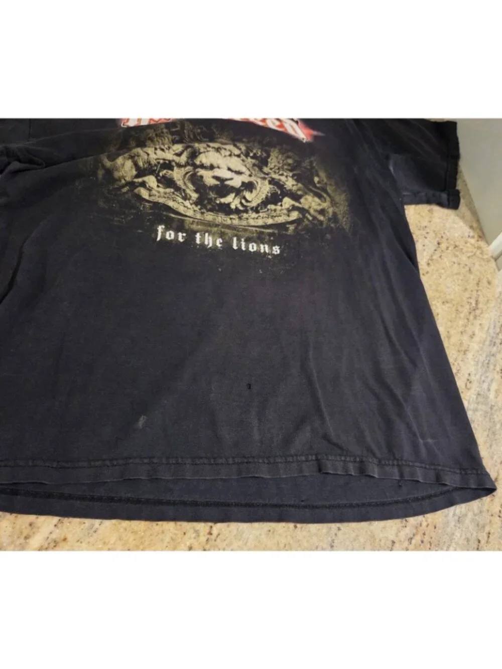Vintage Hatebreed For The Lions Shirt Men’s Size Medium *holes
